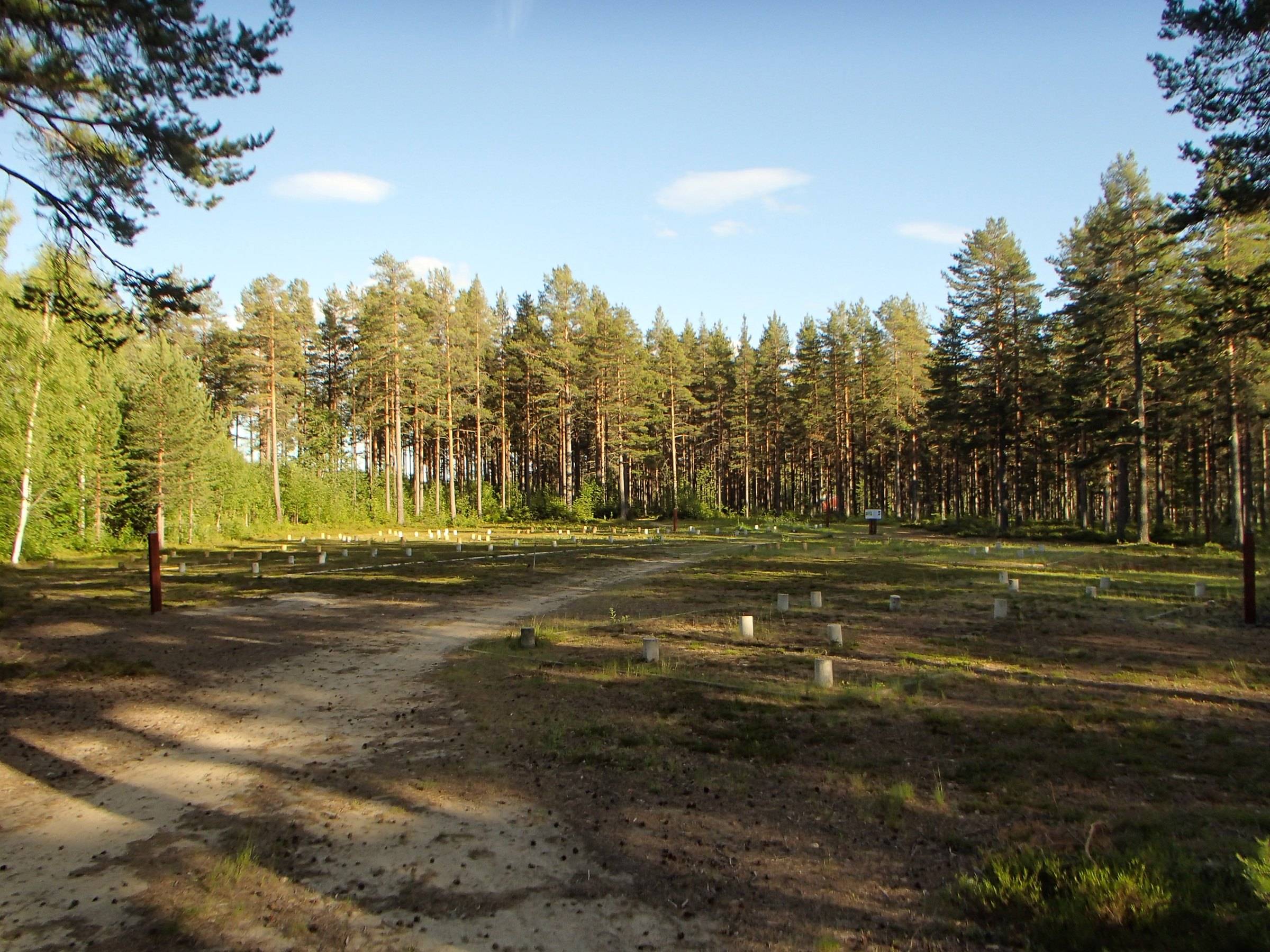 Genesmons järnåldersboplats