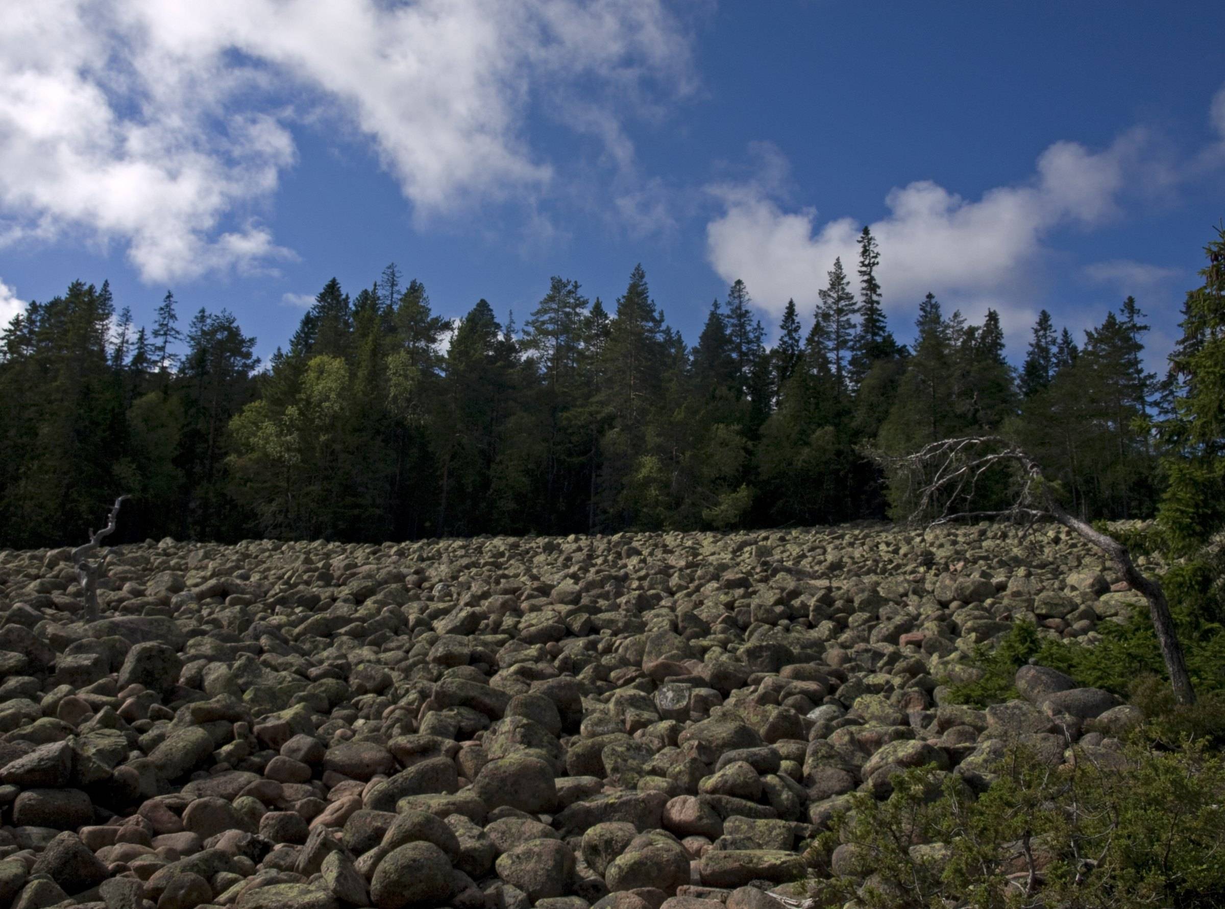 Klapperstensfält i Skuleskogens nationalpark
