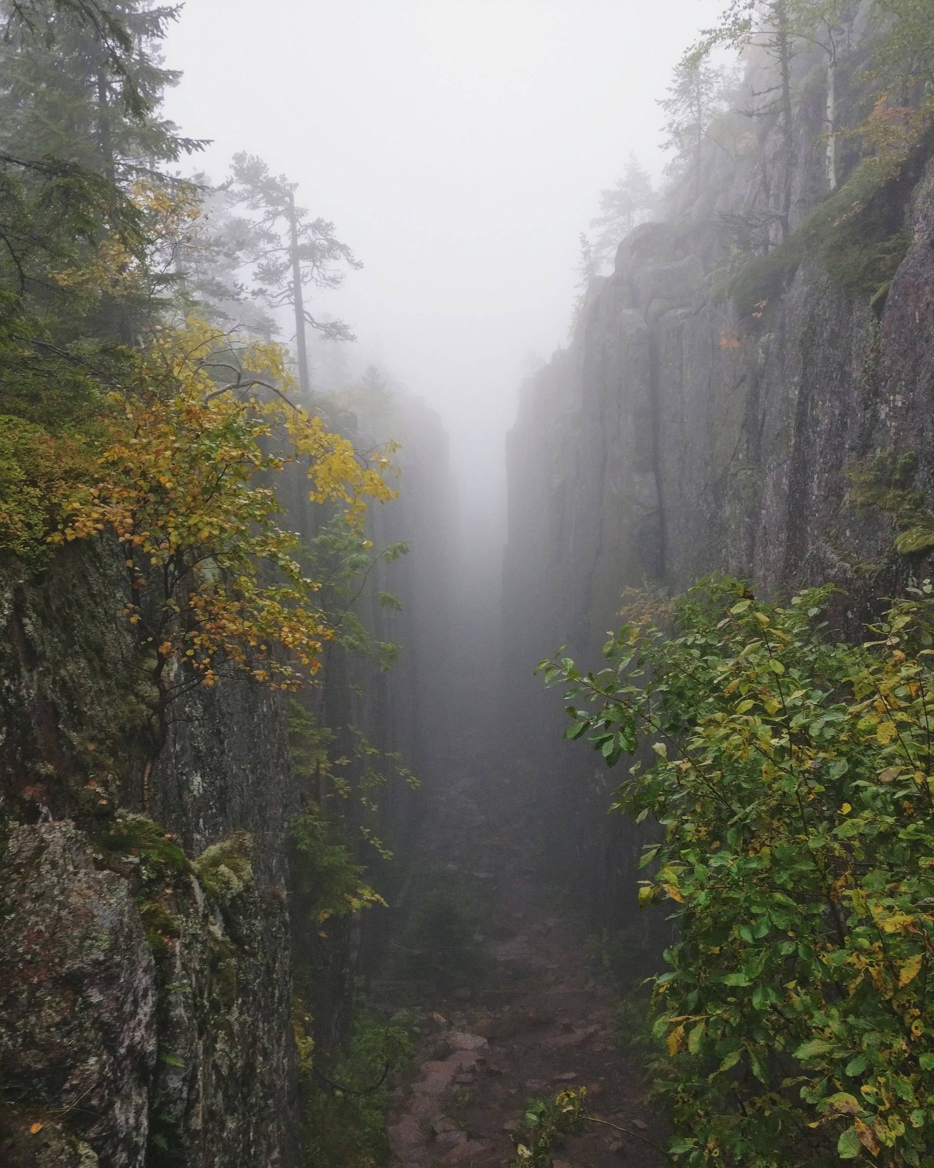 The narrow Slåttdalsskrevan canyon in Skuleskogen